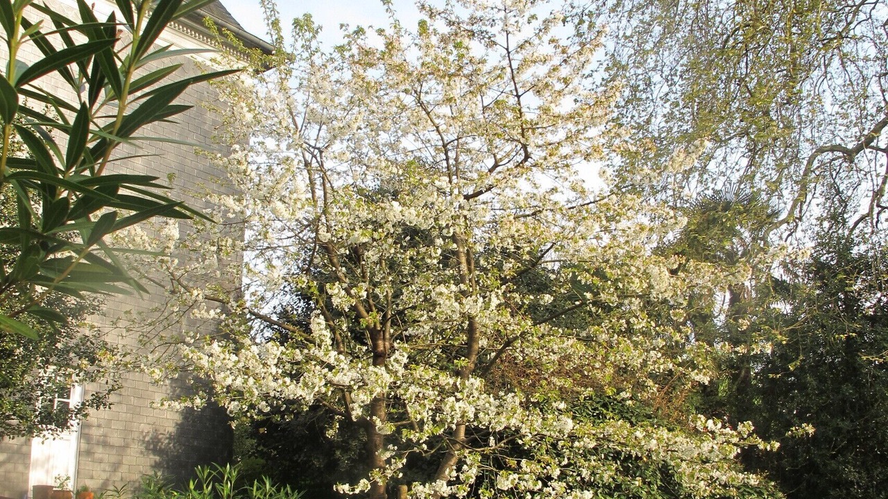 Photo of Outdoor in Dufau-Tourasse