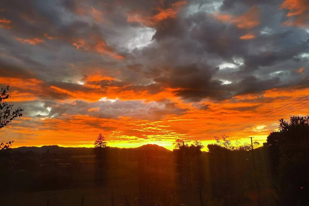 Photo of Others in Waihi