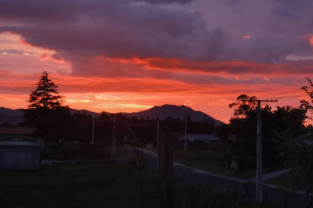 Photo of Others in Waihi