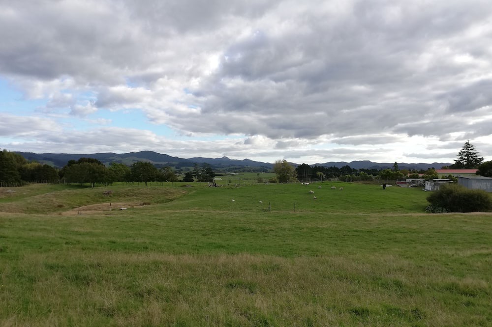 Photo of Others in Waihi