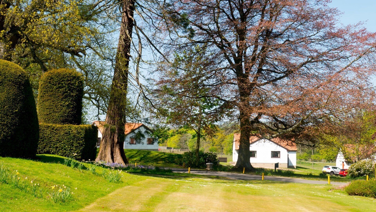 Photo of Others in Pittenweem