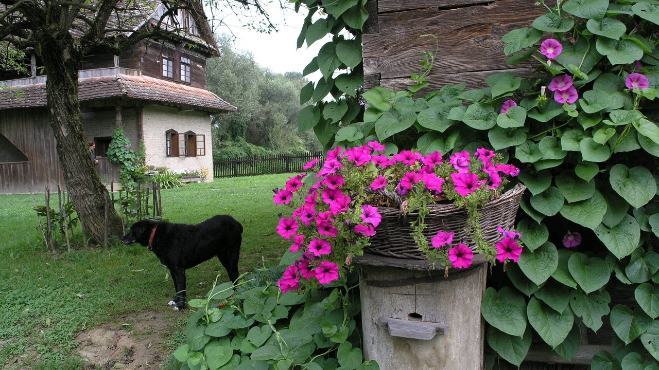 Photo of Outdoor in Sunja