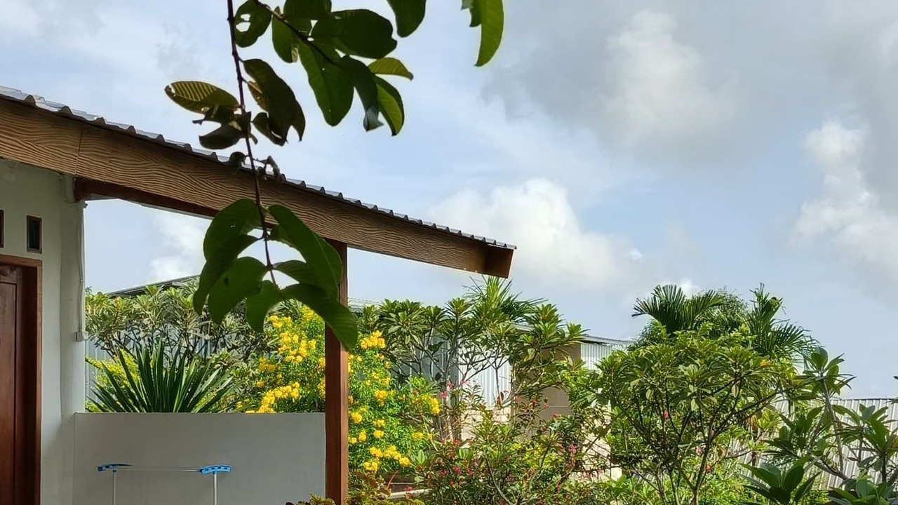 Photo of Outdoor in Bayan