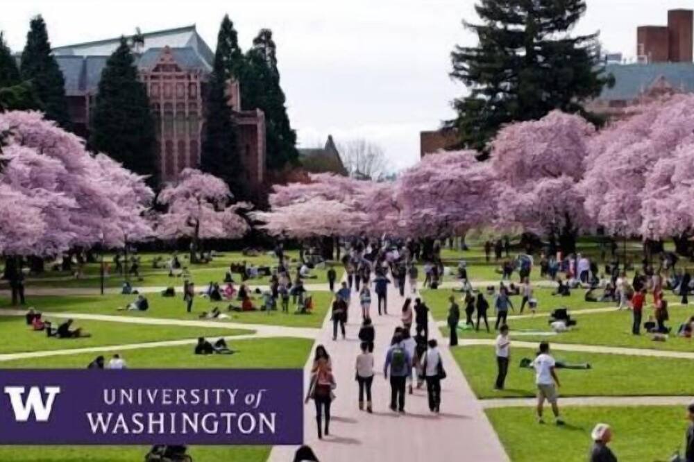 Photo of Outdoor in Stevens