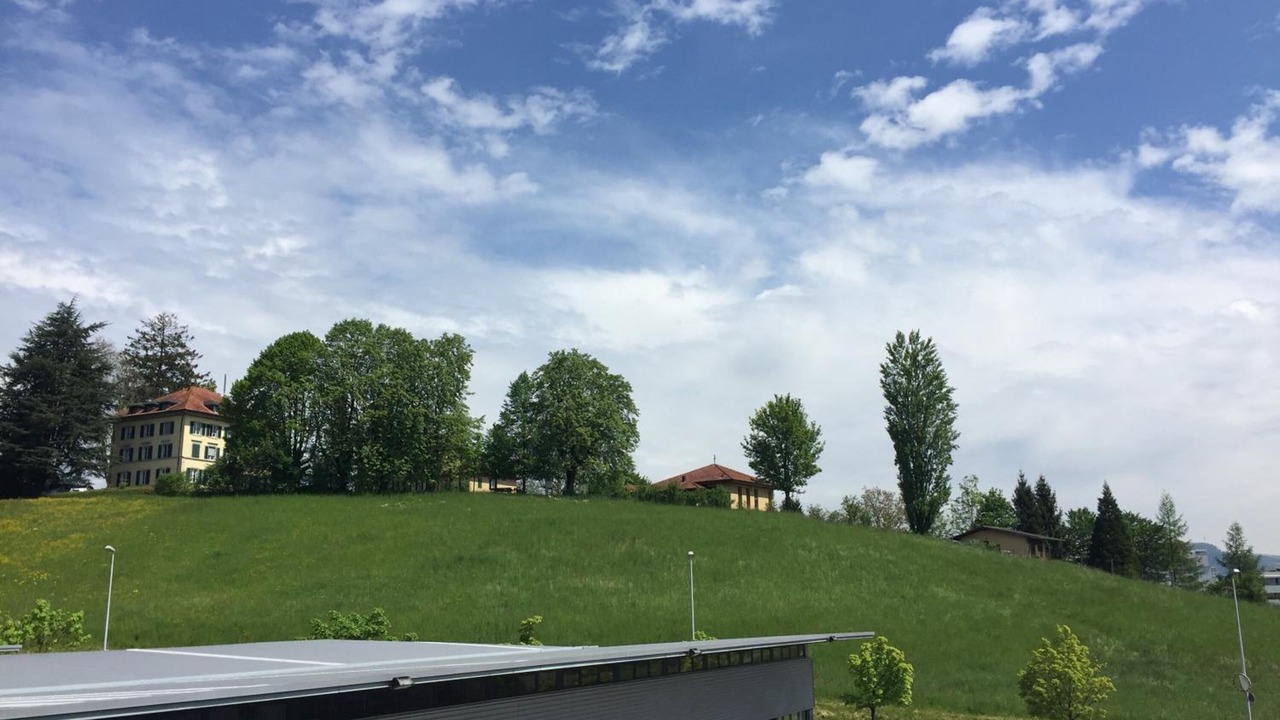 Photo of Others in Steinhausen