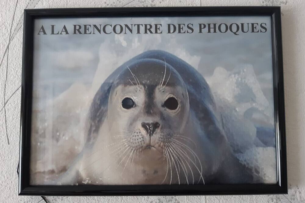 Photo of Others in Tours-en-Vimeu