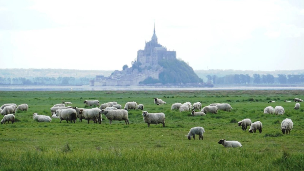 Photo of Outdoor in Beauvoir