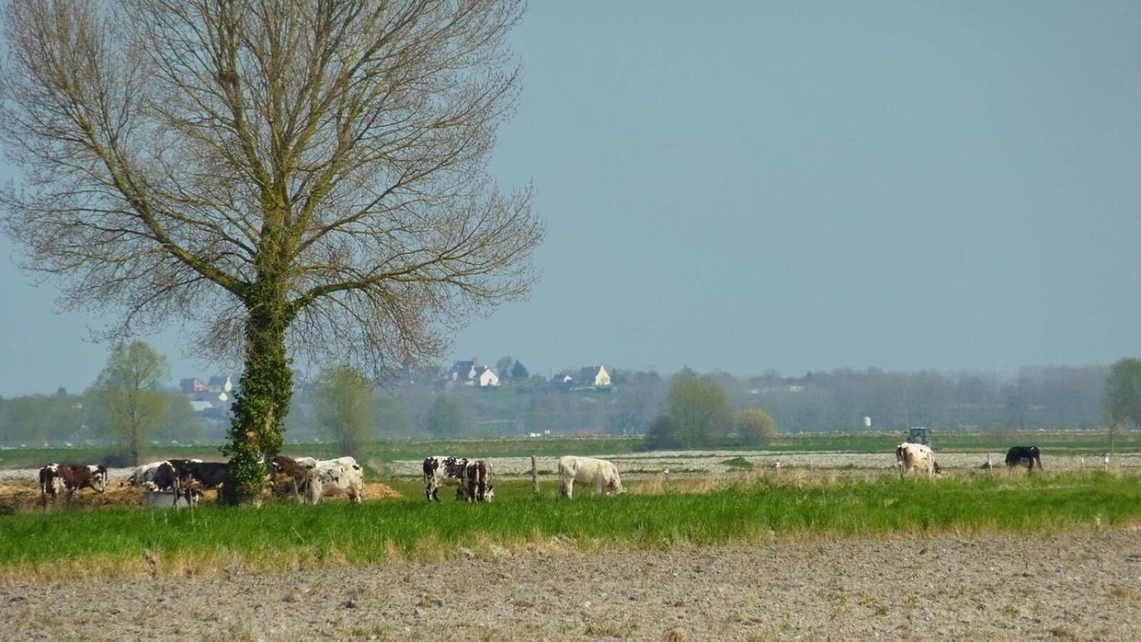 Photo of Outdoor in Beauvoir