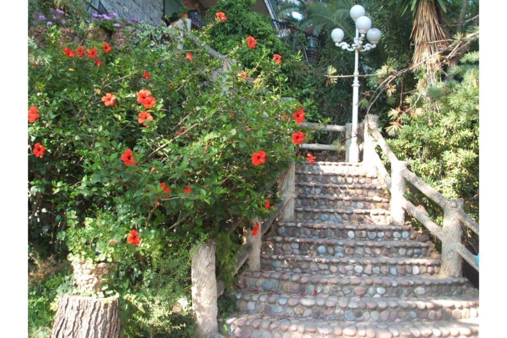 Photo of Outdoor in Serra
