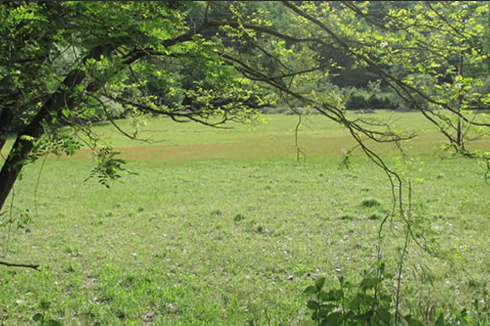Photo of Outdoor in Le Vigan
