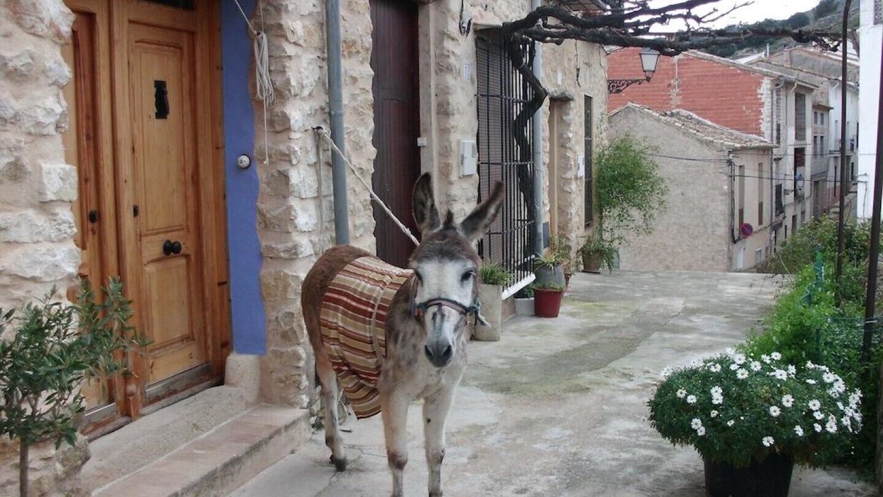Photo of Outdoor in Benissili