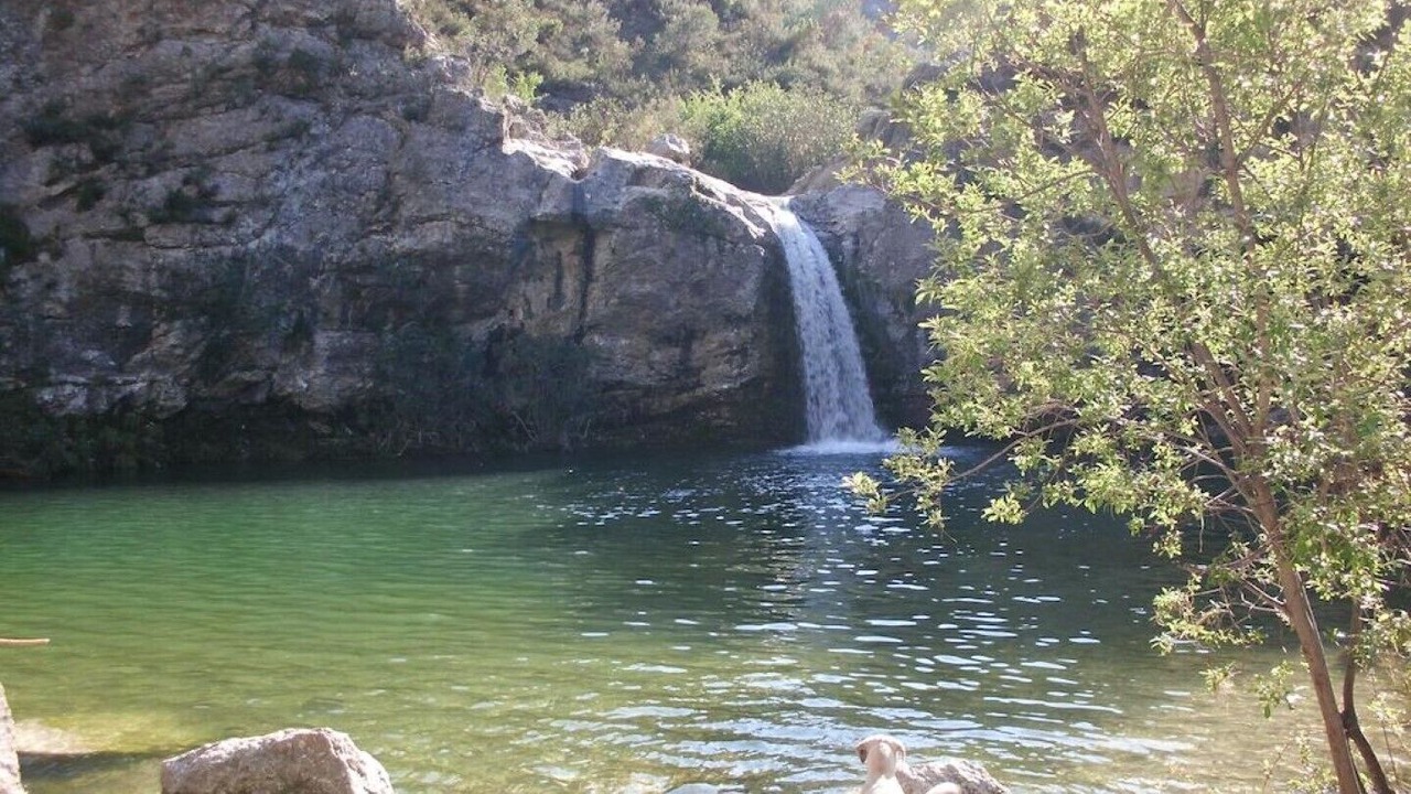 Photo of Others in Benissili