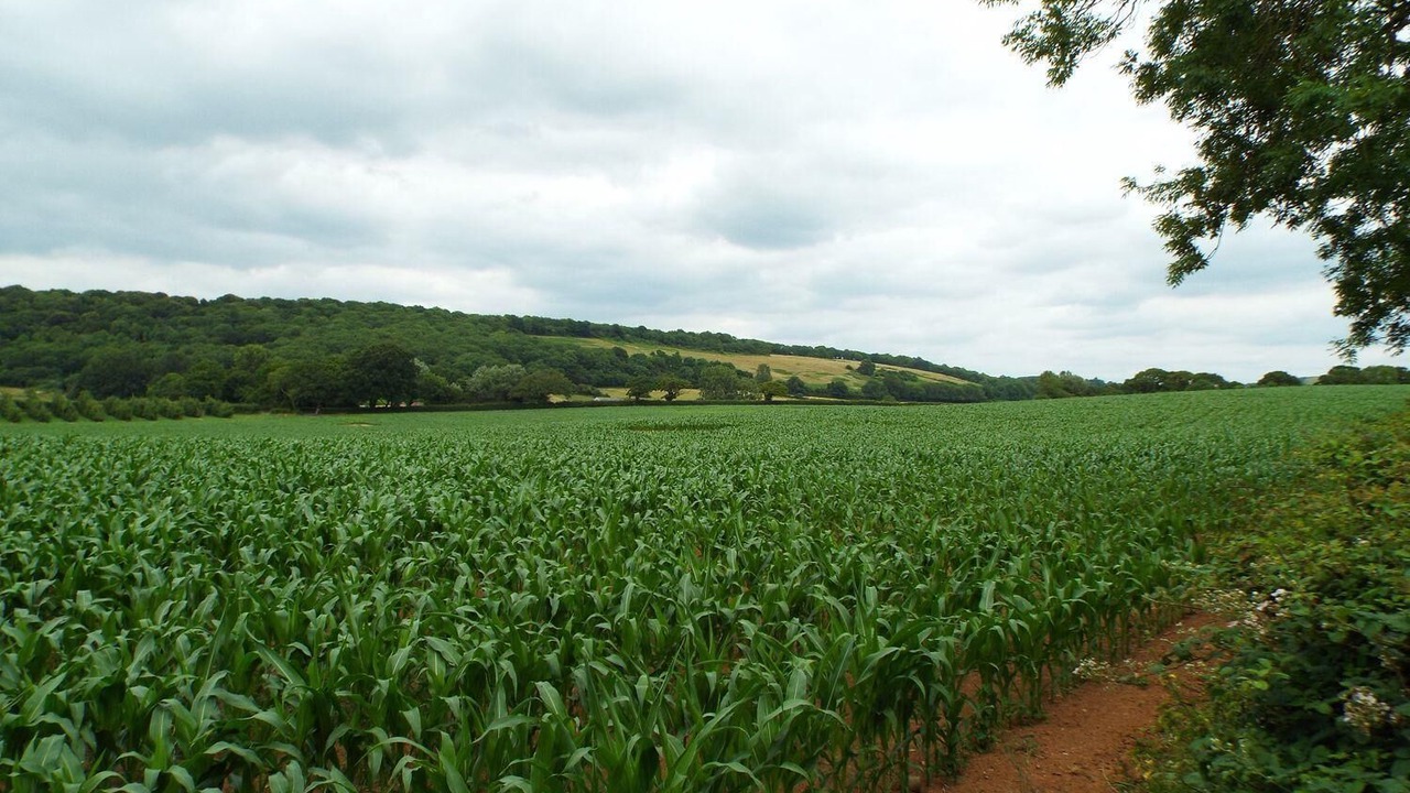 Photo of Bathroom in Sidcot