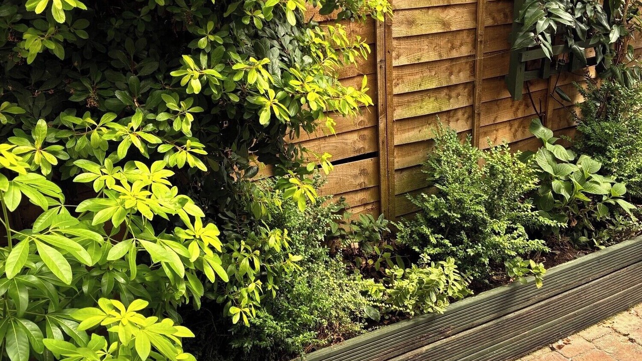 Photo of Outdoor in Sidcot