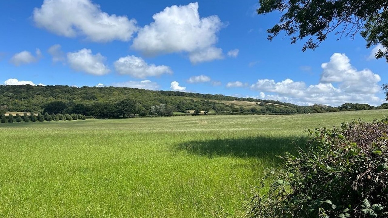 Photo of Others in Sidcot