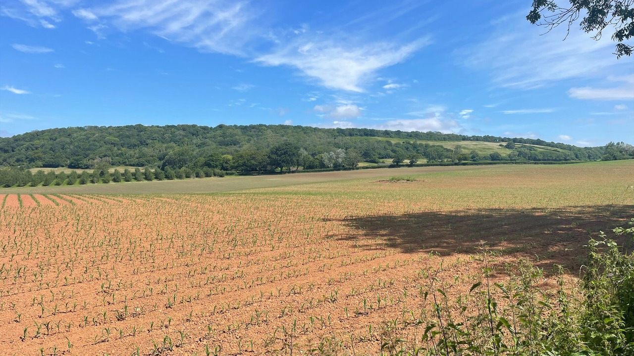 Photo of Others in Sidcot