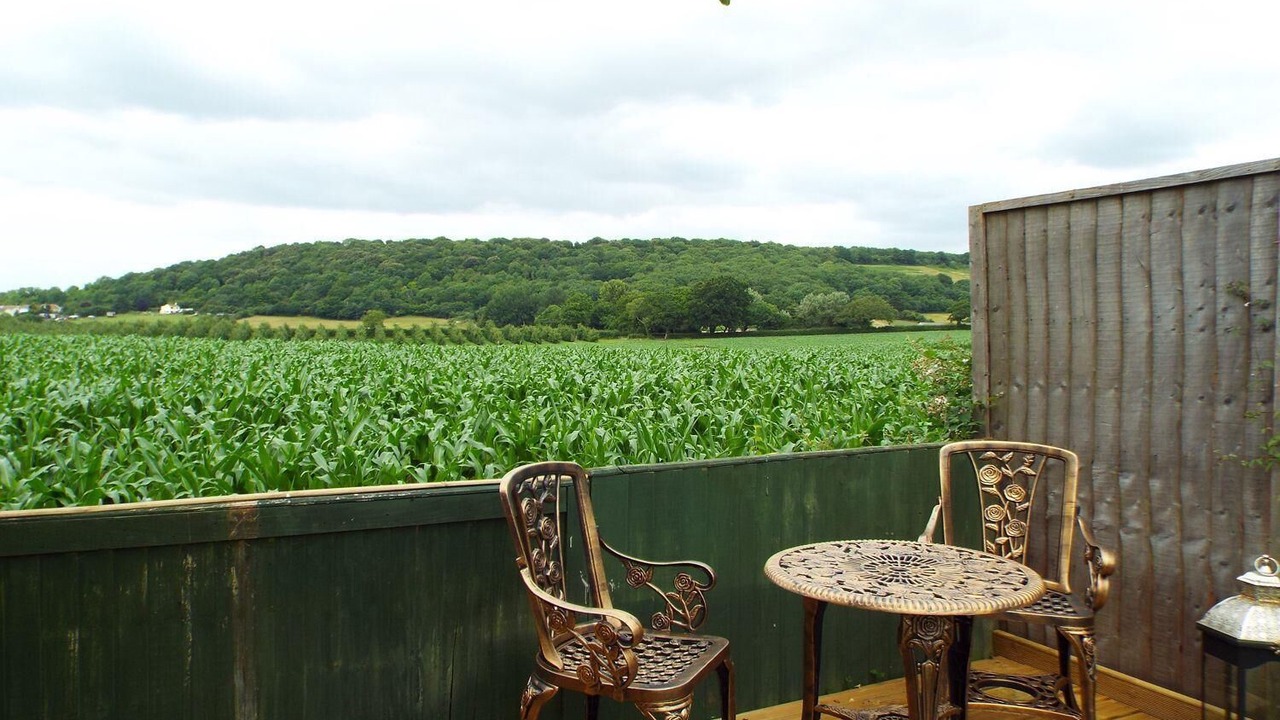 Photo of Others in Sidcot