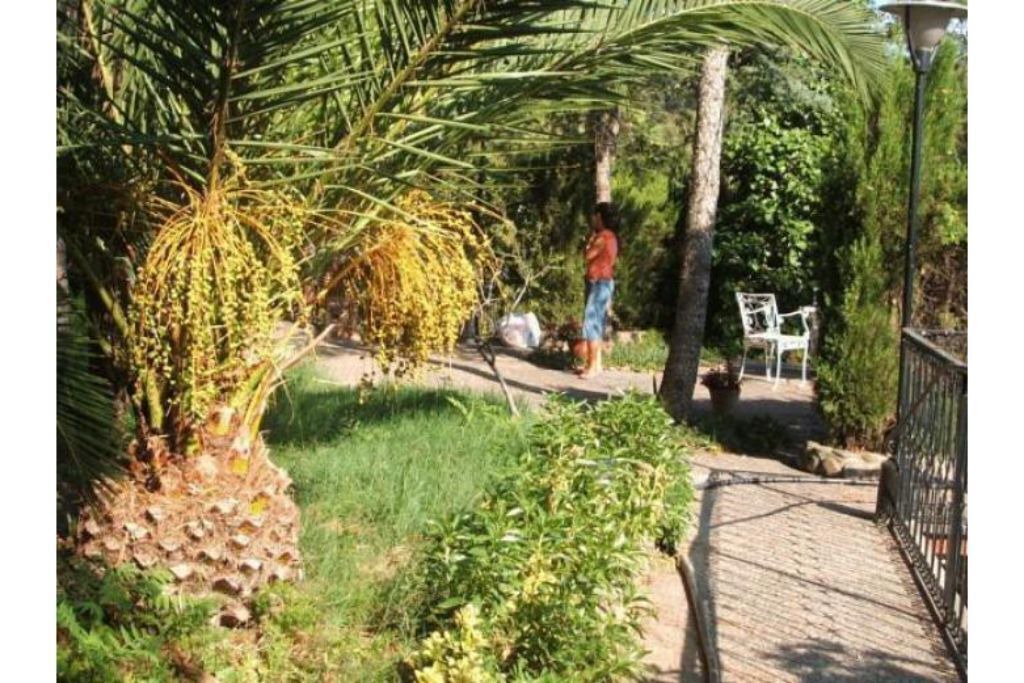 Photo of Outdoor in Serra