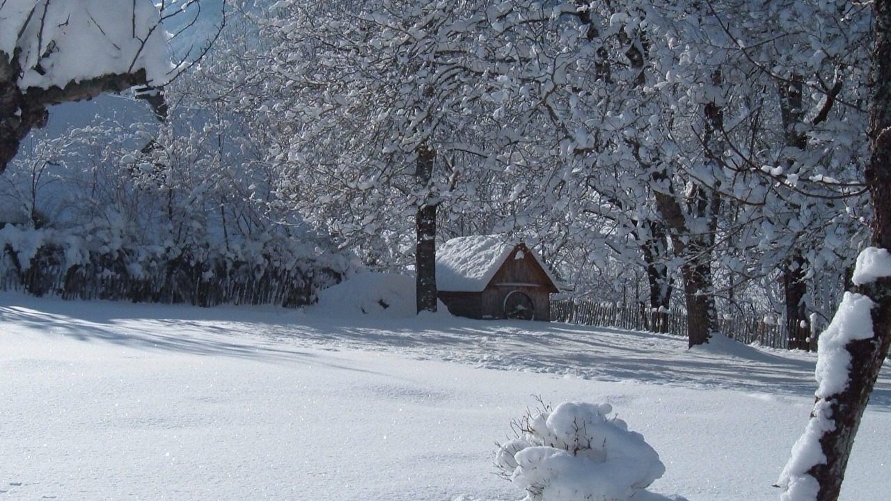 Photo of Others in Campan