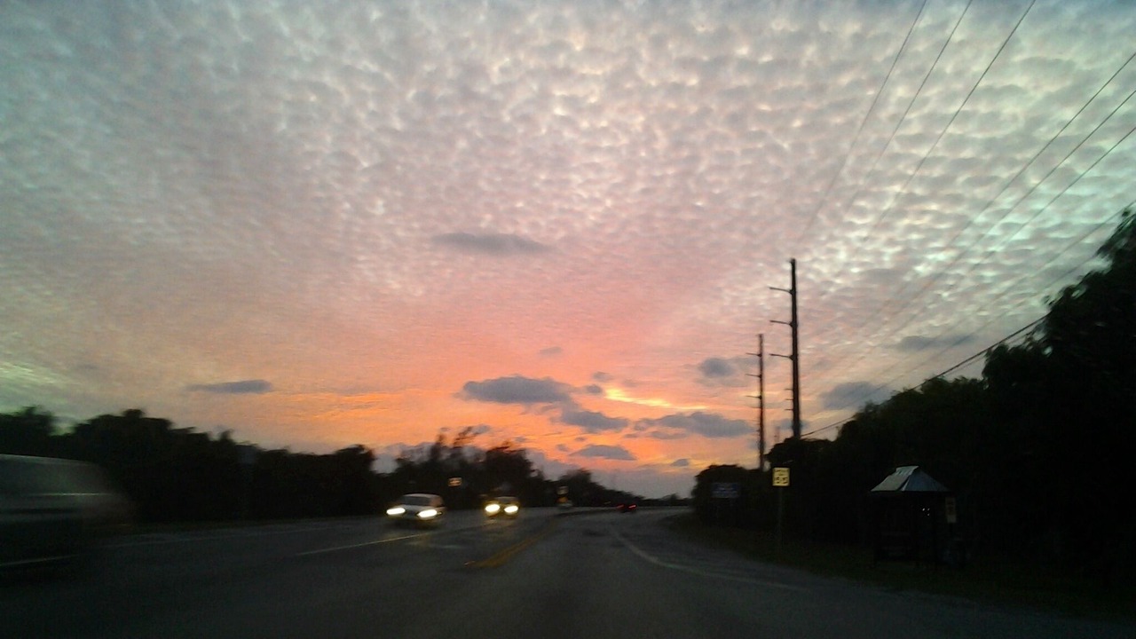 Photo of Outdoor in Big Coppitt Key