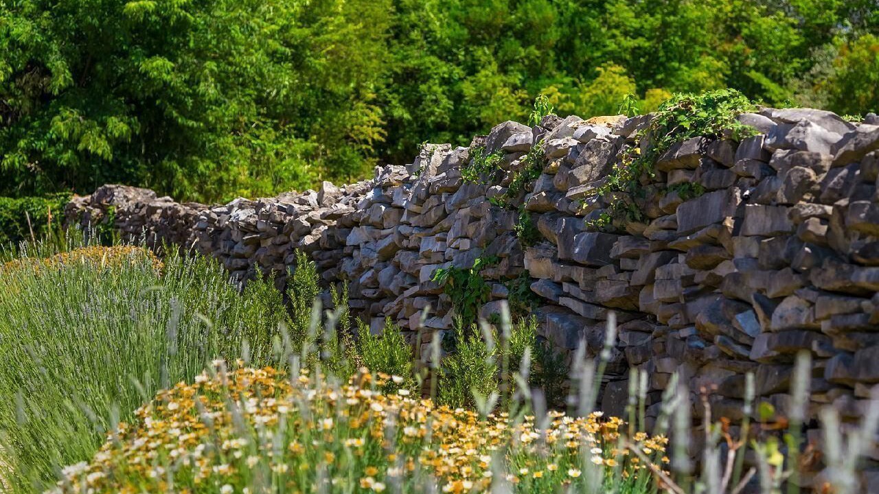 Photo of Outdoor in Galizana