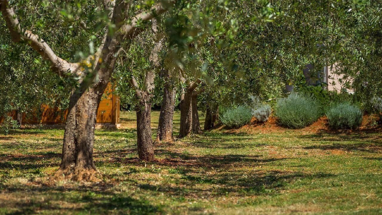 Photo of Outdoor in Galizana