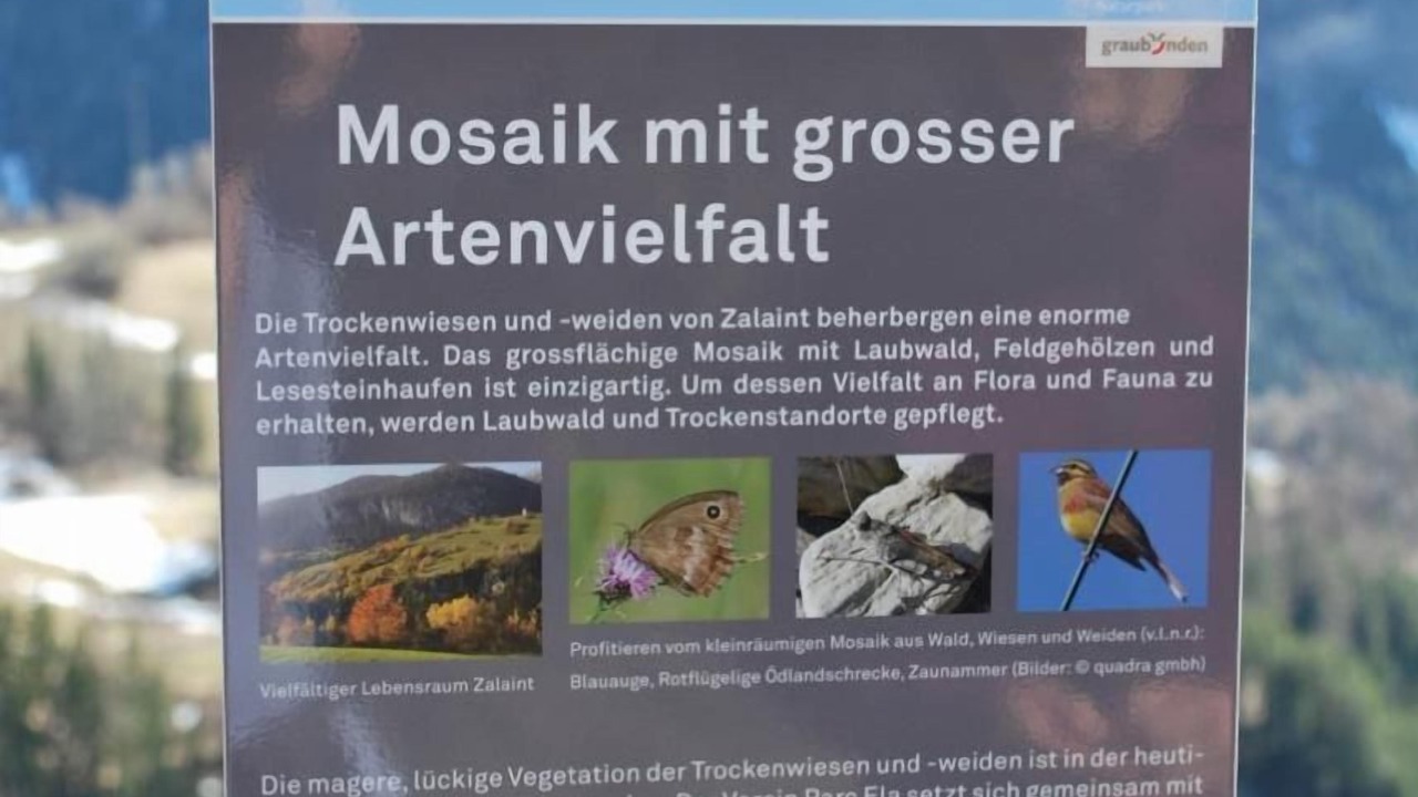 Photo of Others in Schmitten