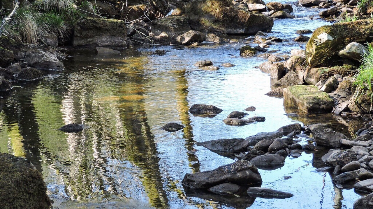 Photo of Others in Hartoft