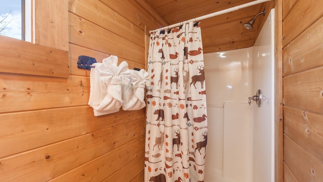 Photo of Bathroom in Sevierville