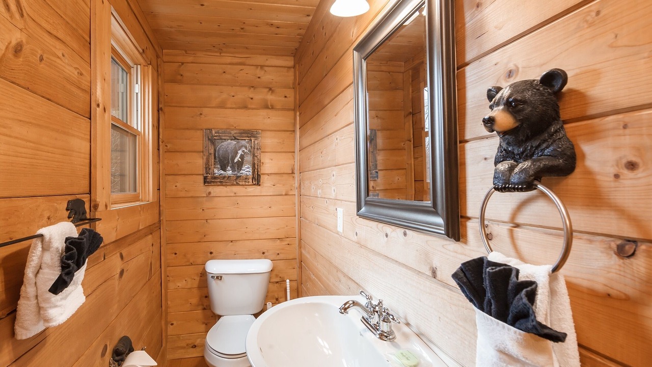 Photo of Bathroom in Sevierville