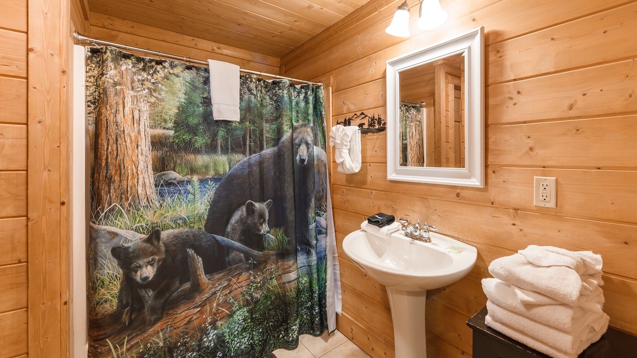 Photo of Bathroom in Sevierville