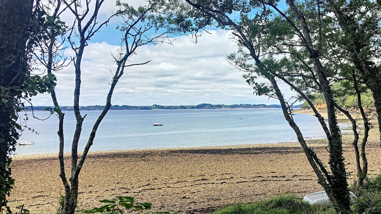 Photo of Others in Argol