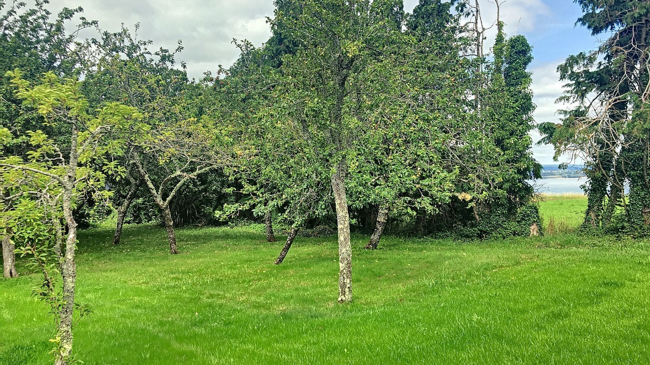 Photo of Outdoor in Argol