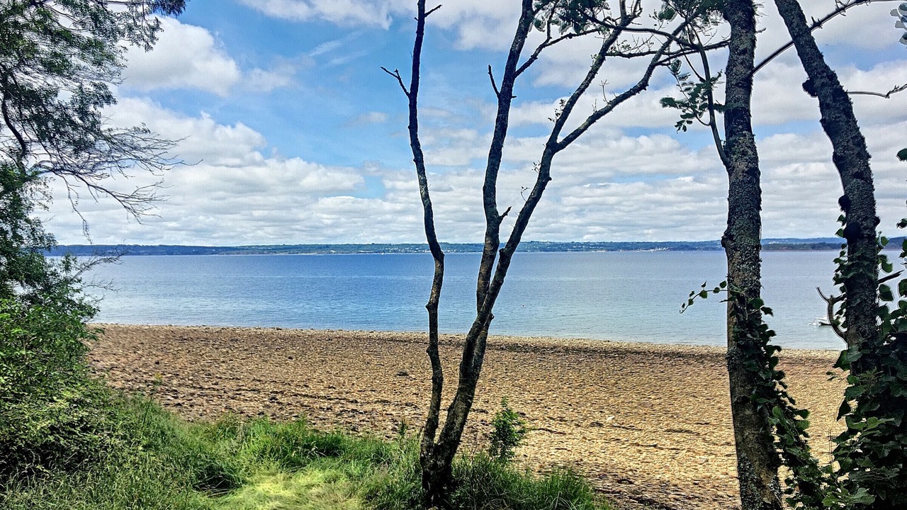 Photo of Others in Argol