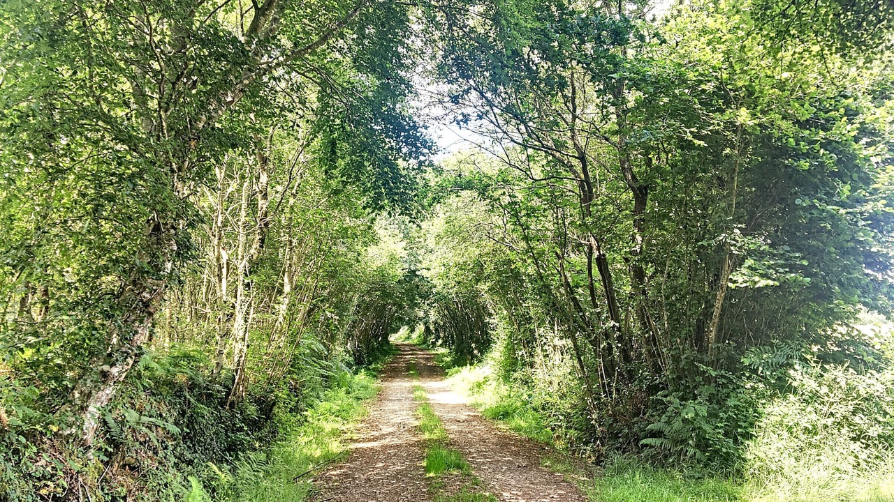 Photo of Outdoor in Argol