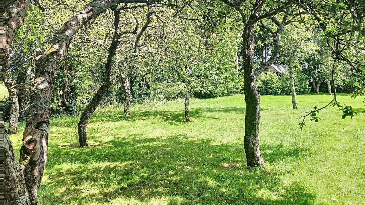 Photo of Others in Argol