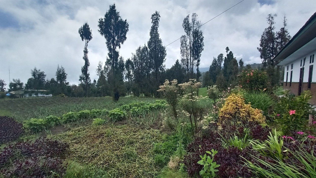 Photo of Outdoor in Ngadisari