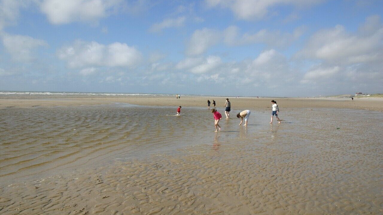 Photo of Others in Vieil-Hesdin