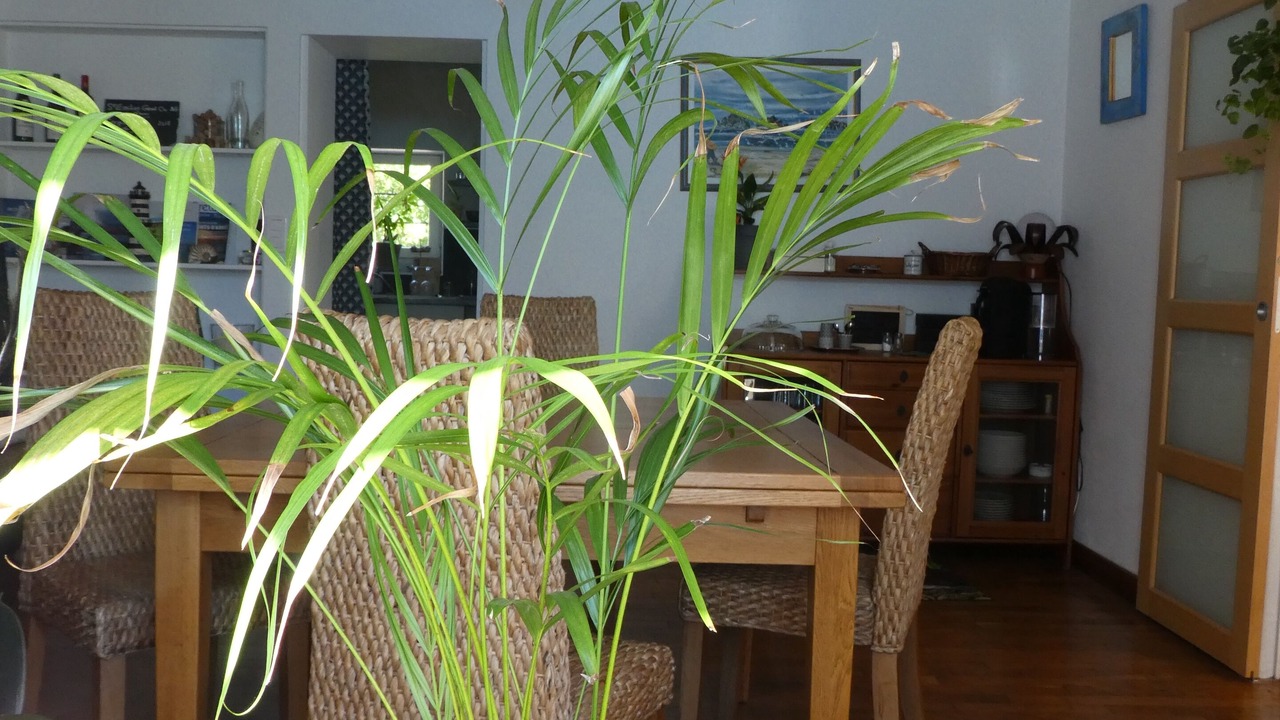 Photo of Others in Elliant