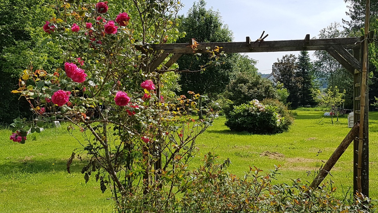 Photo of Outdoor in Elliant