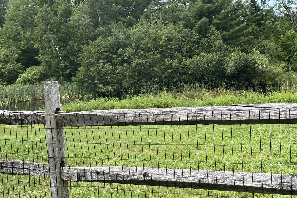 Photo of Others in Weston