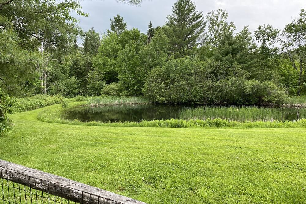 Photo of Outdoor in Weston