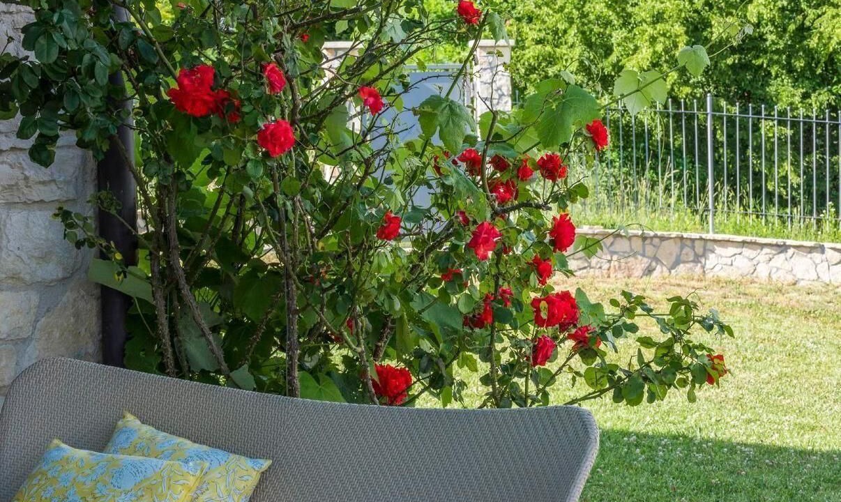 Photo of Outdoor in Buzet