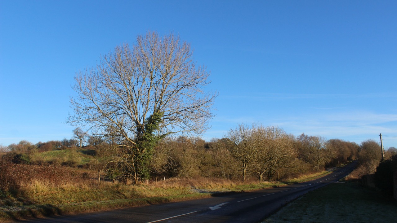 Photo of Outdoor in Seend