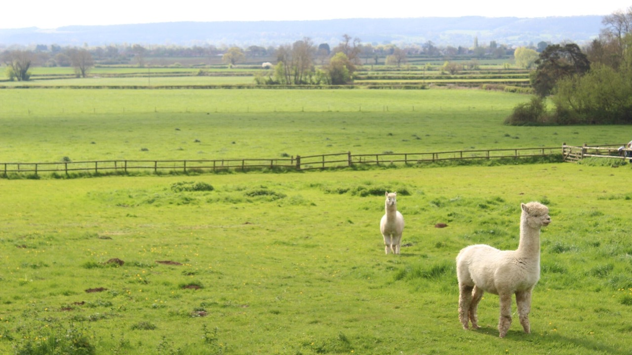 Photo of Outdoor in Seend