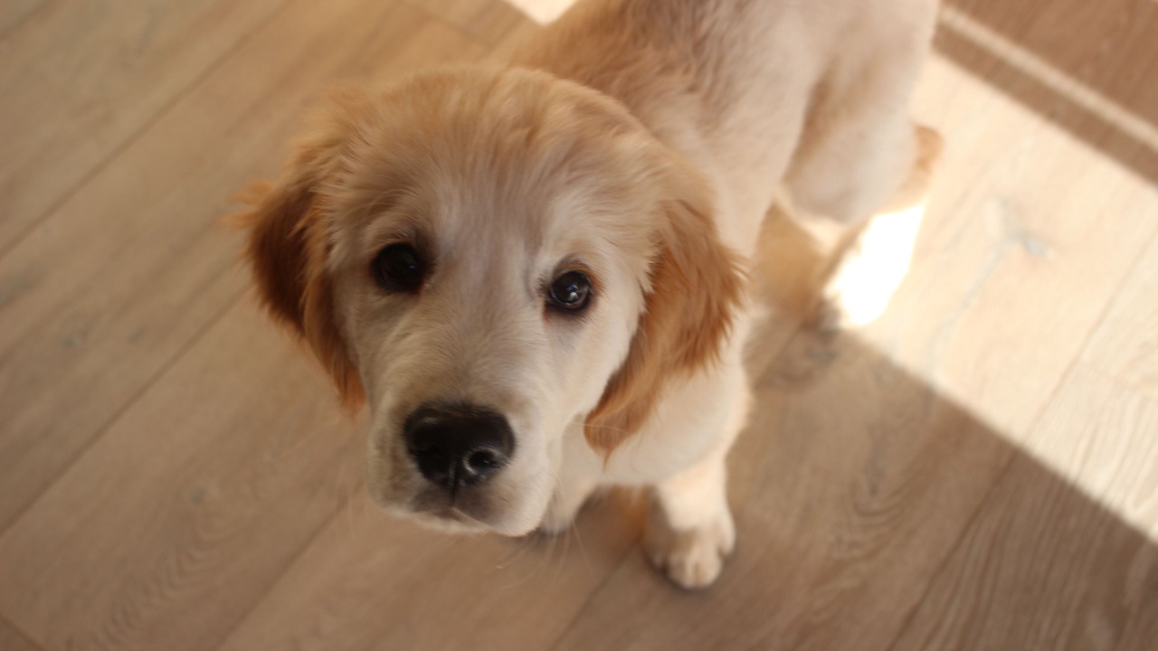 Photo of Others in Seend