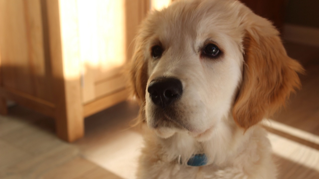 Photo of Others in Seend