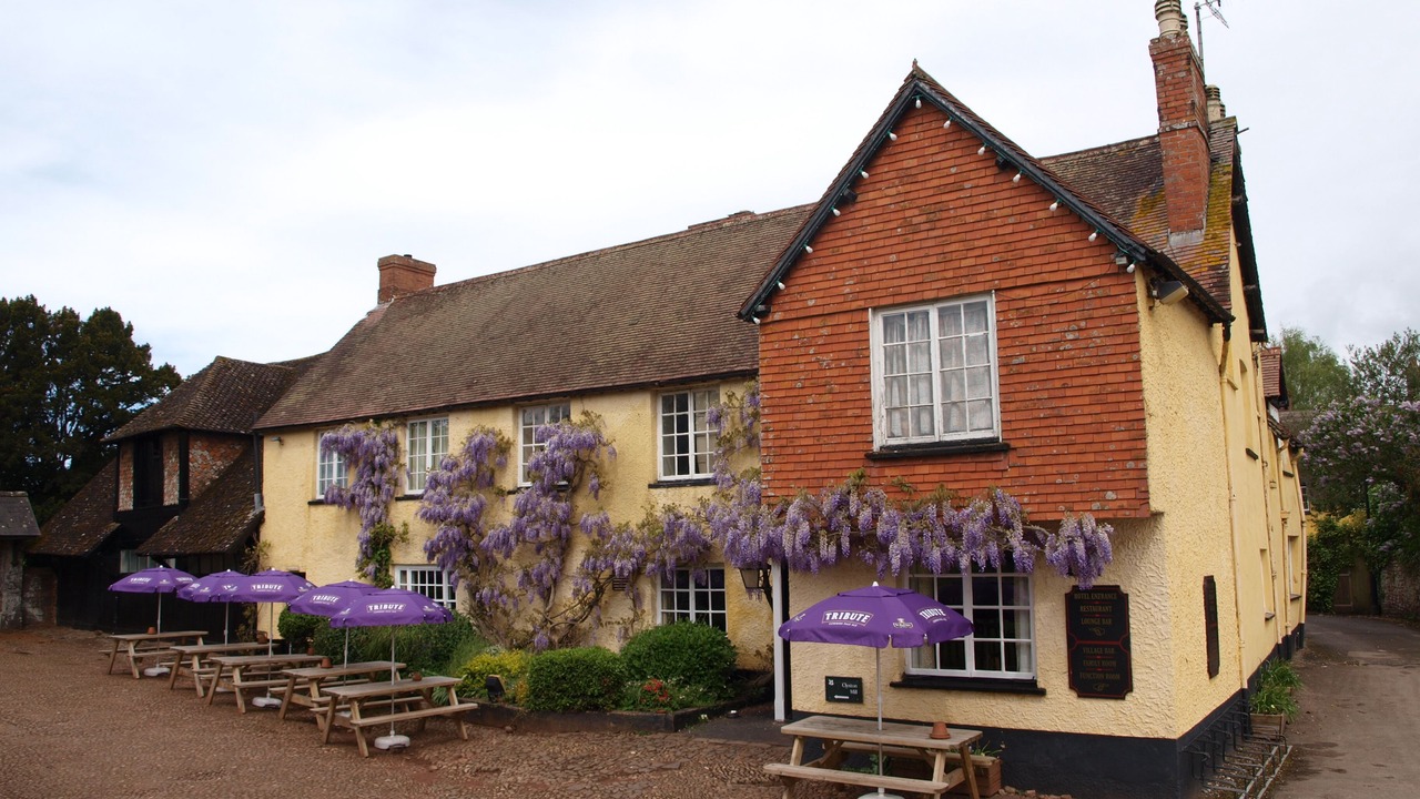 Photo of Outdoor in Broad Clyst