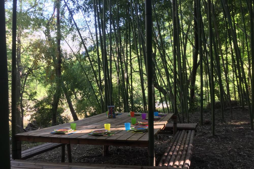 Photo of Others in Gornies