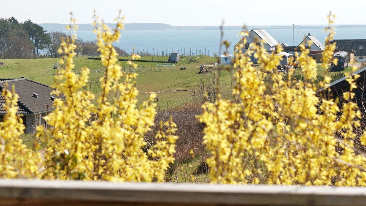 Photo of Outdoor in Kalundborg